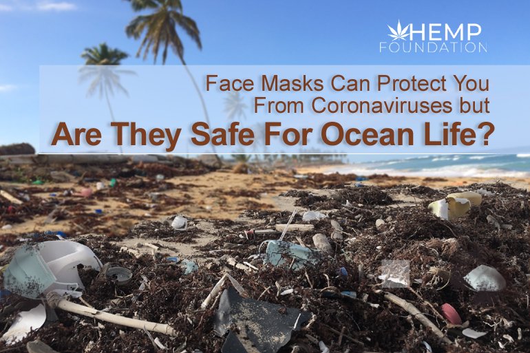 口罩可以保护你免受冠状病毒的侵害，但它们对海洋生物安全吗?