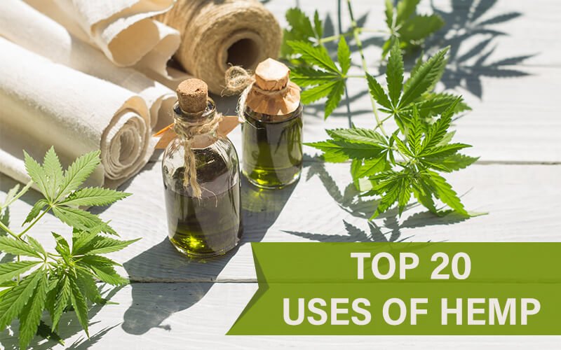 大麻植物最受欢迎的20种用途（在美国）卡塔尔世界杯B组积分